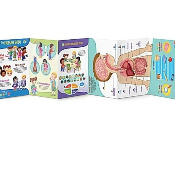 Leapfrog Other - LeapFrog Tag Interactive Human Body
Discovery Pack Board